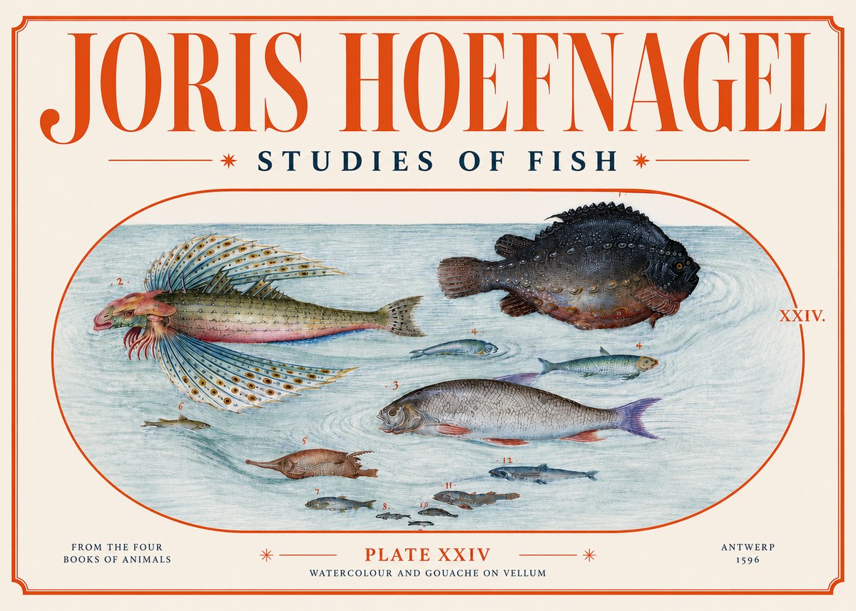 Joris Hoefnagel Studies of Fish II No4 - Juliste
