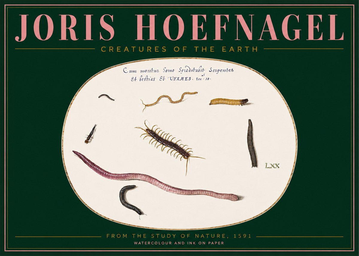 Joris Hoefnagel Creatures of the Earth II No2 - Juliste