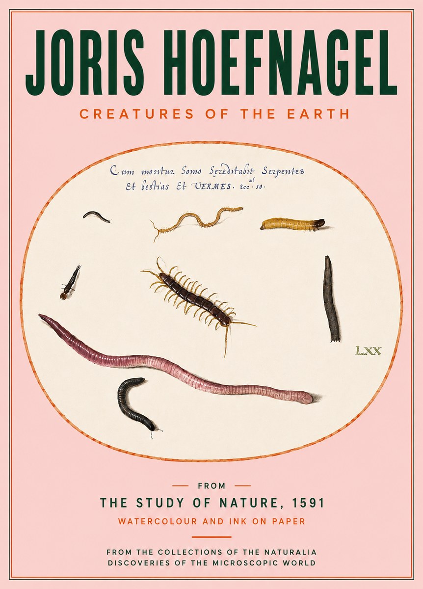 Joris Hoefnagel Creatures of the Earth II No4 - Juliste