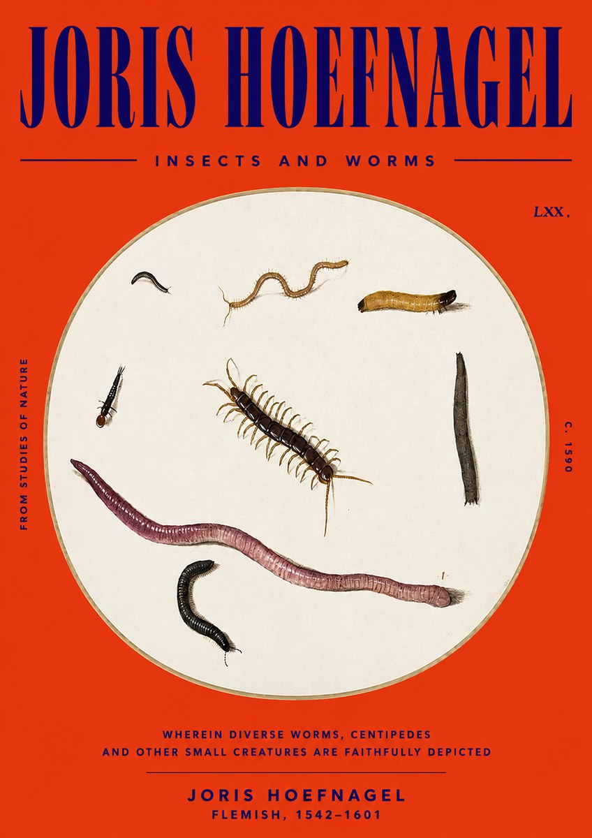 Joris Hoefnagel Creatures of the Earth II No6 - Juliste