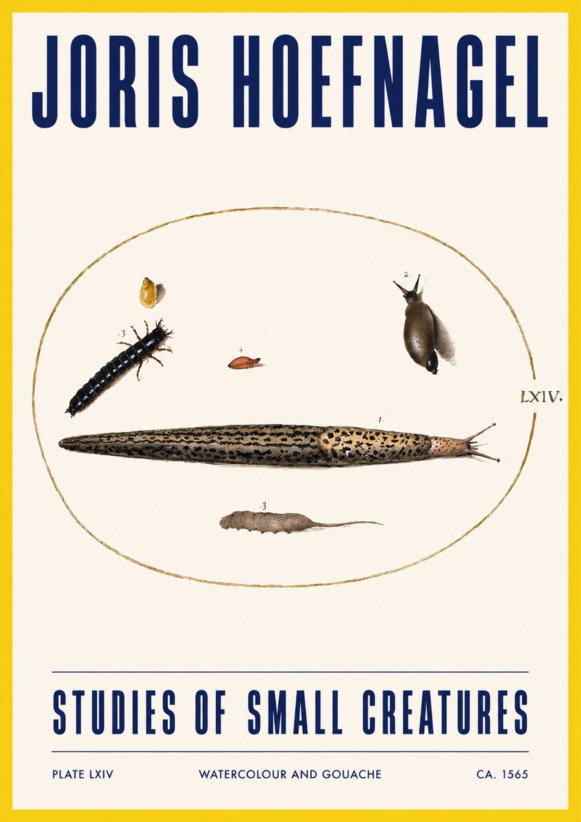 Joris Hoefnagel Plate Lxiv No3 - Juliste