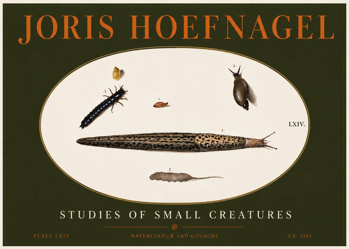 Joris Hoefnagel Plate Lxiv No4 - Juliste
