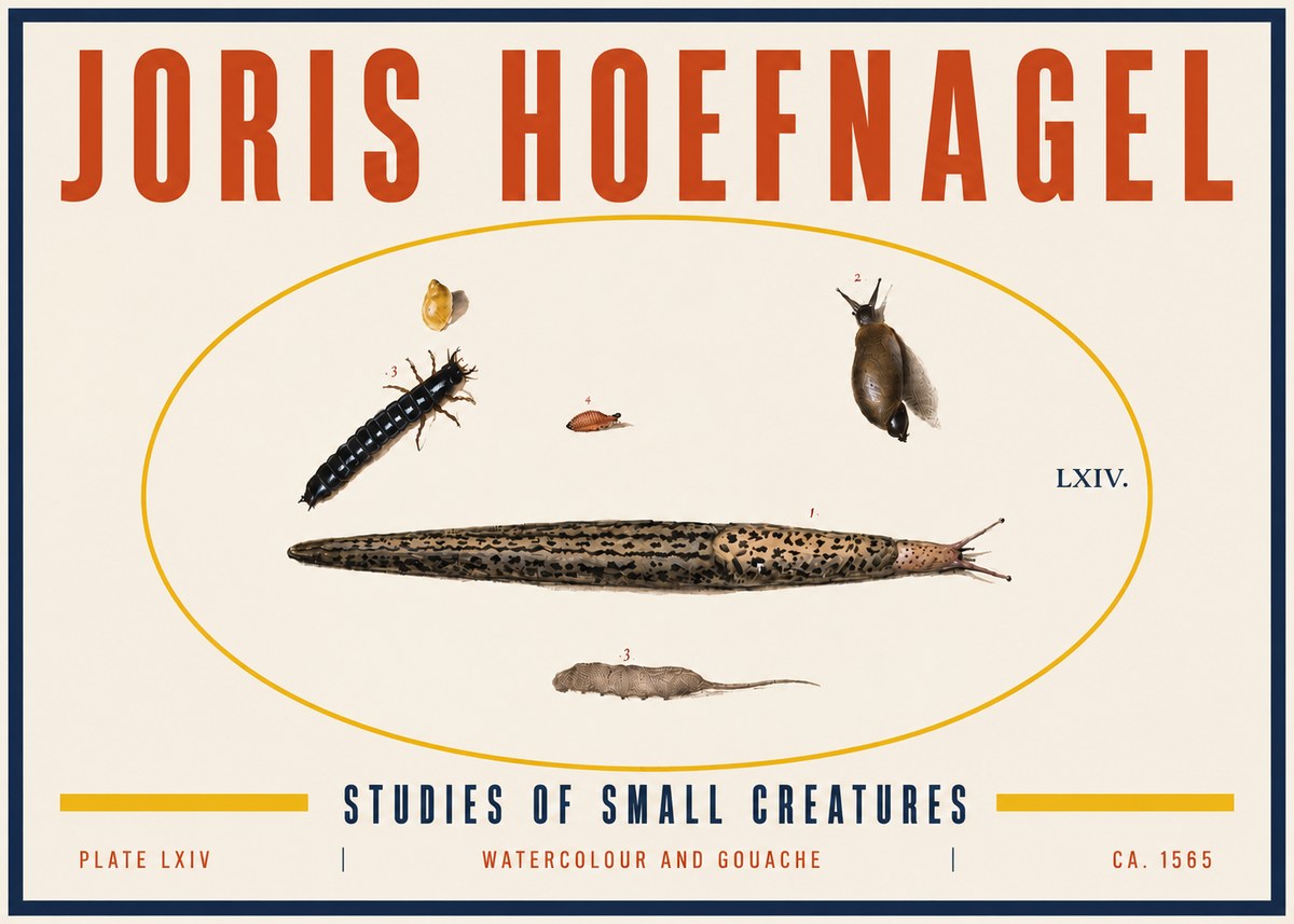 Joris Hoefnagel Plate Lxiv No6 - Juliste
