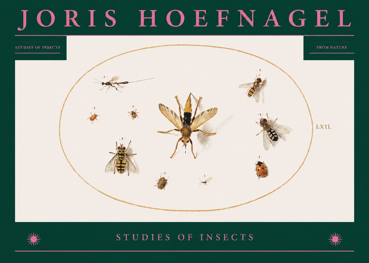 Joris Hoefnagel Studies of Insects IV No2 - Juliste