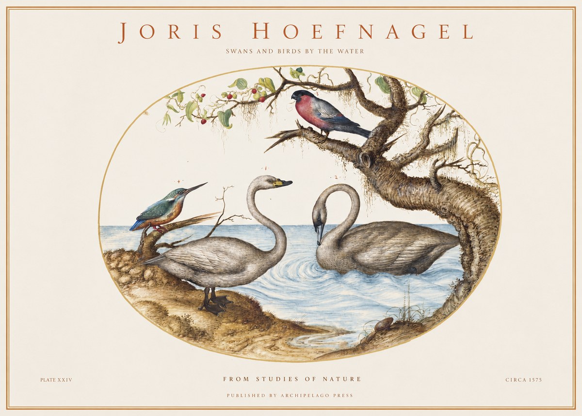 Joris Hoefnagel Swans and Birds by the Water No1 - Juliste