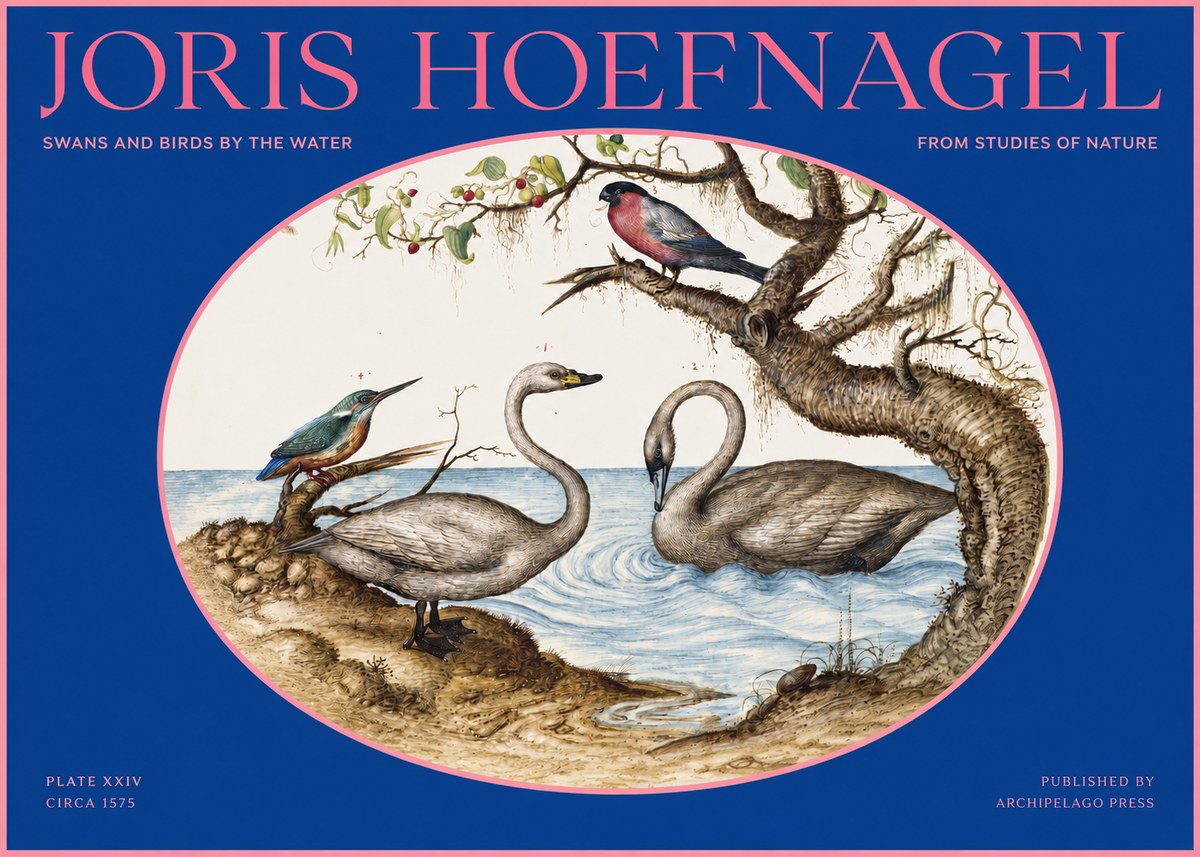 Joris Hoefnagel Swans and Birds by the Water No2 - Juliste