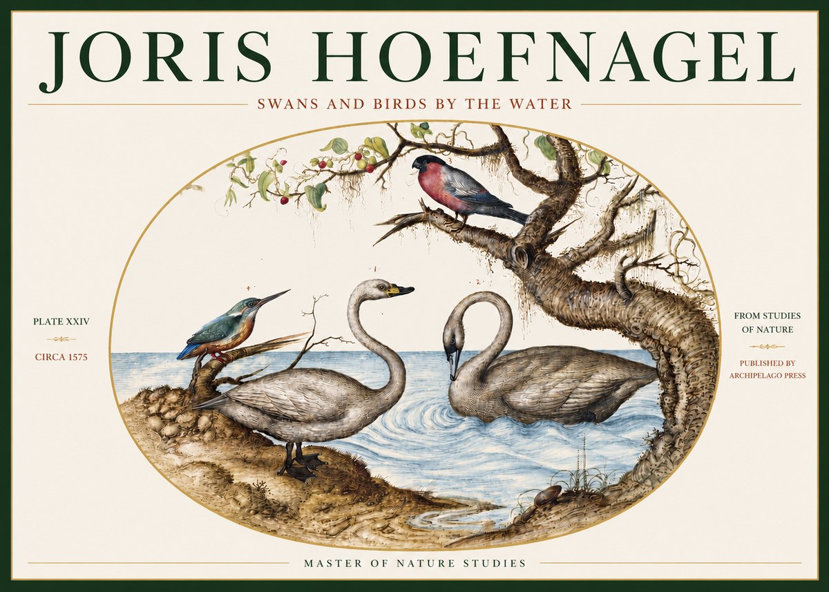 Joris Hoefnagel Swans and Birds by the Water No3 - Juliste