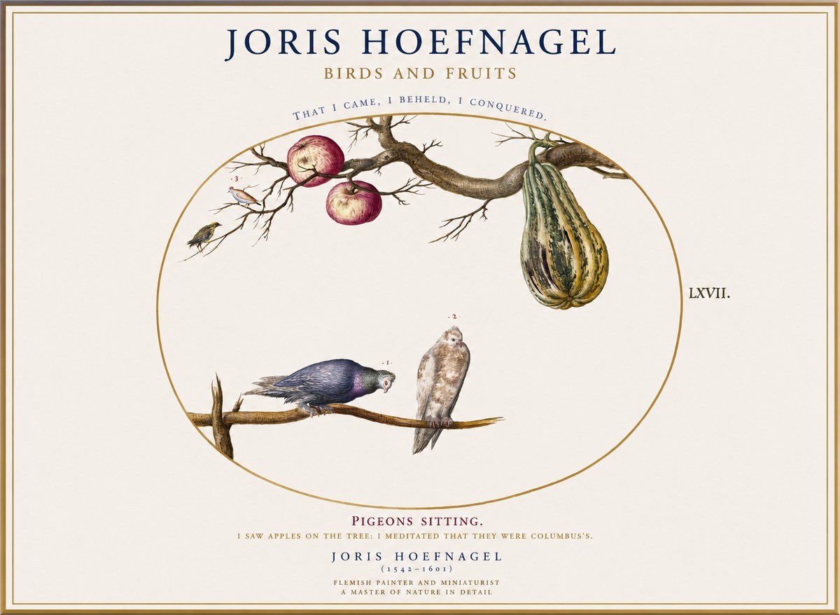 Joris Hoefnagel Pigeons Sitting. No1 - Juliste