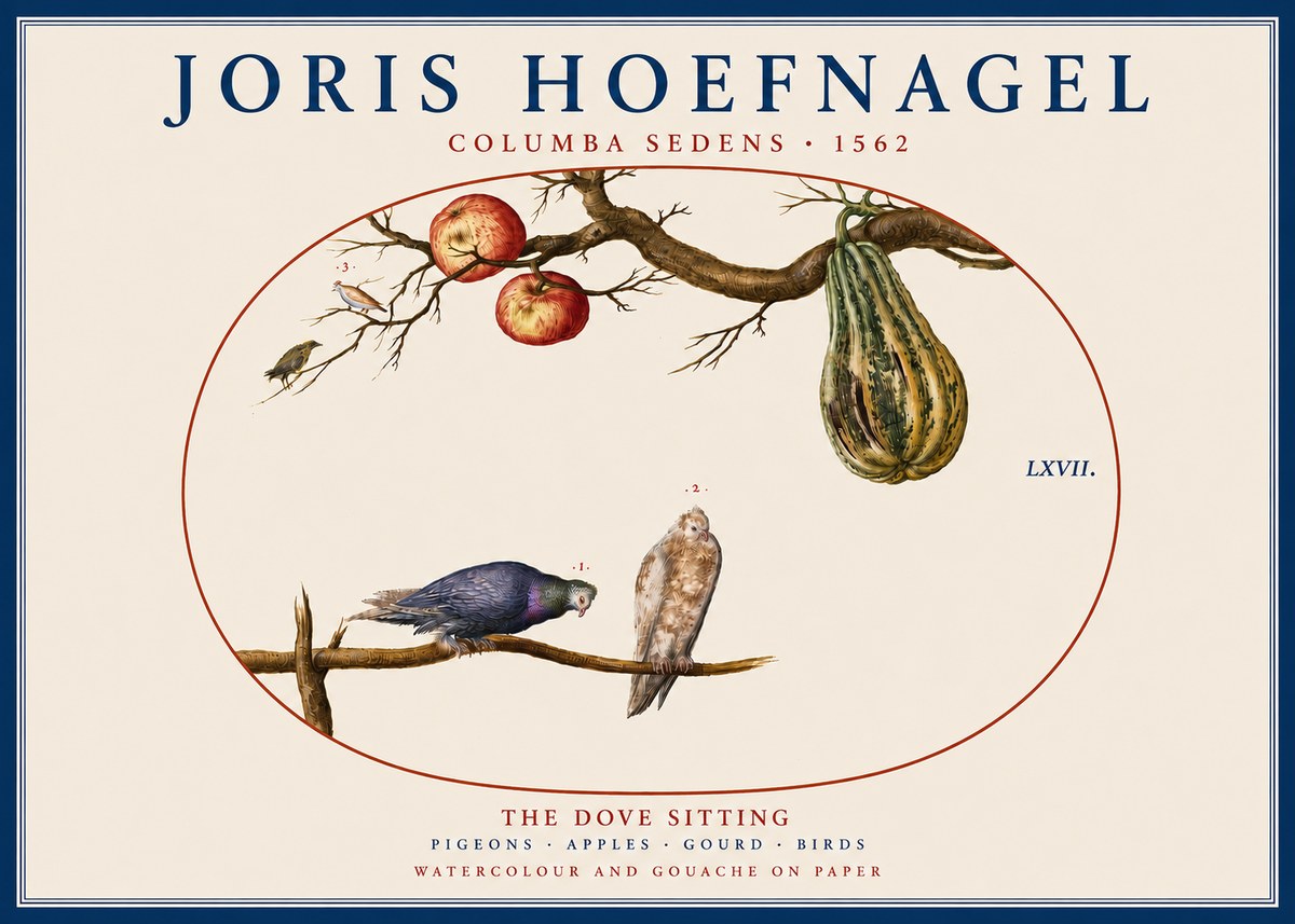 Joris Hoefnagel Pigeons Sitting. No5 - Juliste