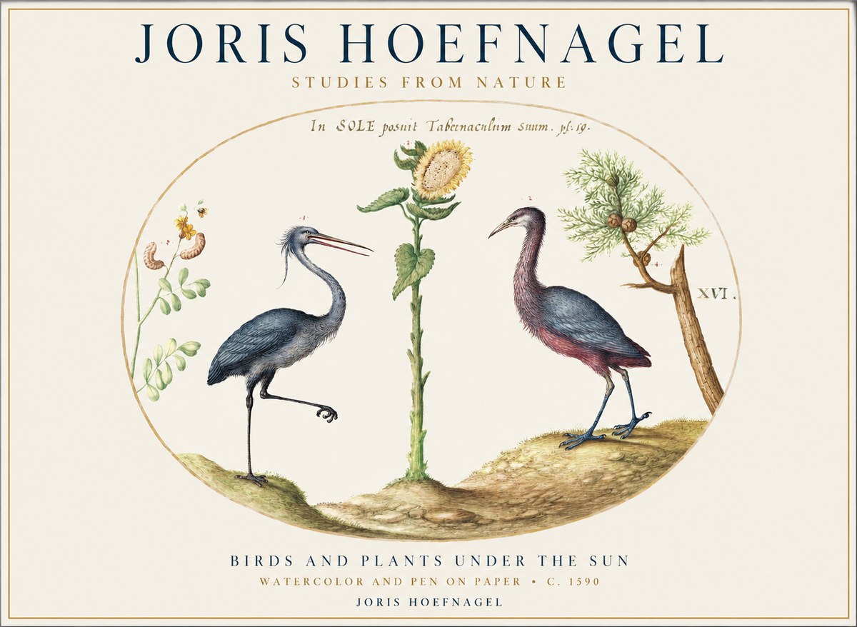 Joris Hoefnagel Birds and Plants Under the Sun No1 - Juliste