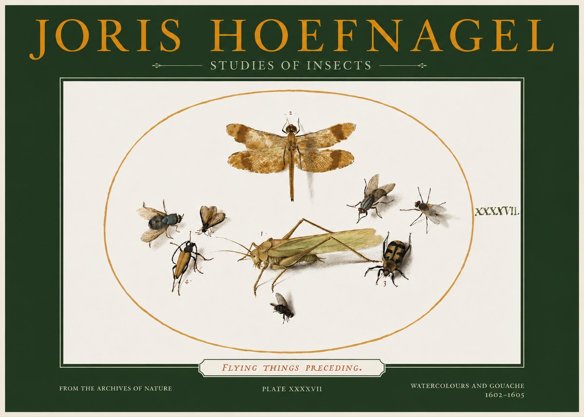 Joris Hoefnagel Flying Things Preceding. No2 - Juliste