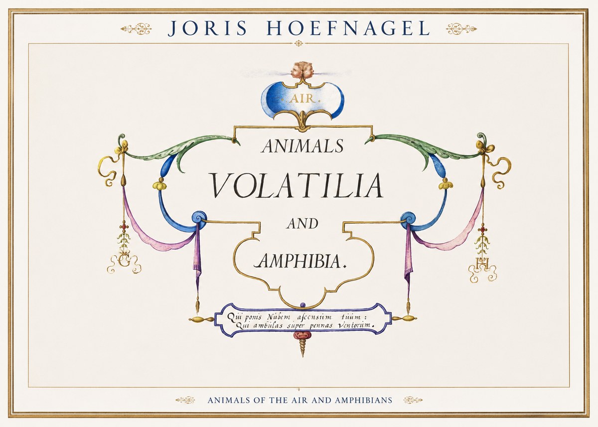 Joris Hoefnagel Animals Volatilia and Amphibia. No1 - Juliste