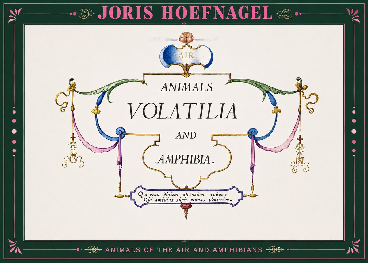 Joris Hoefnagel Animals Volatilia and Amphibia. No2 - Juliste