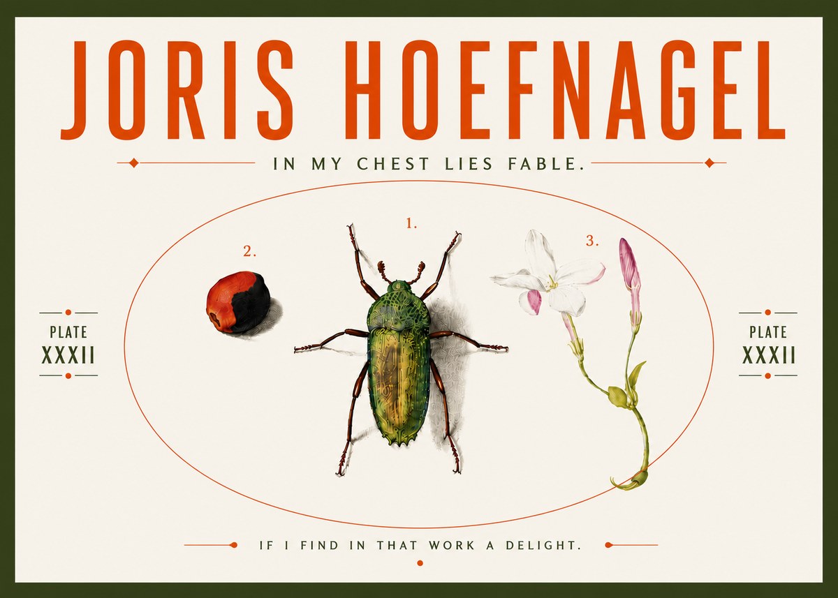 Joris Hoefnagel In My Chest Lies Fable No5 - Juliste