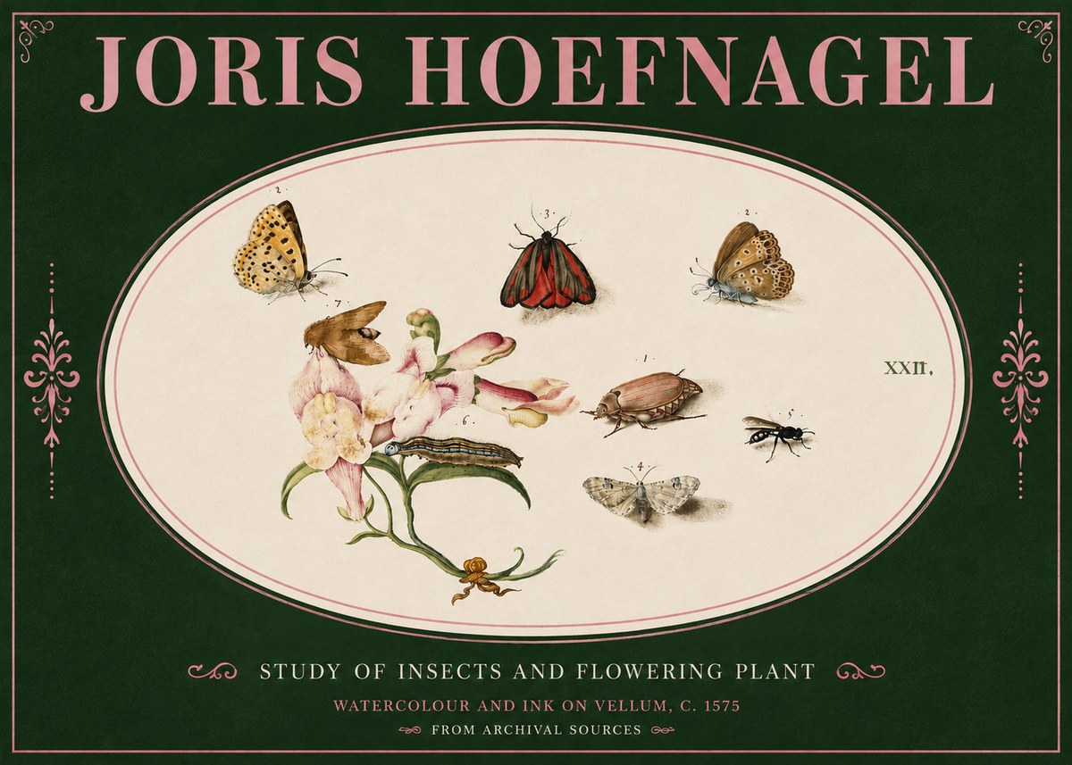 Joris Hoefnagel Study of Insects and Flowering Plant No4 - Juliste