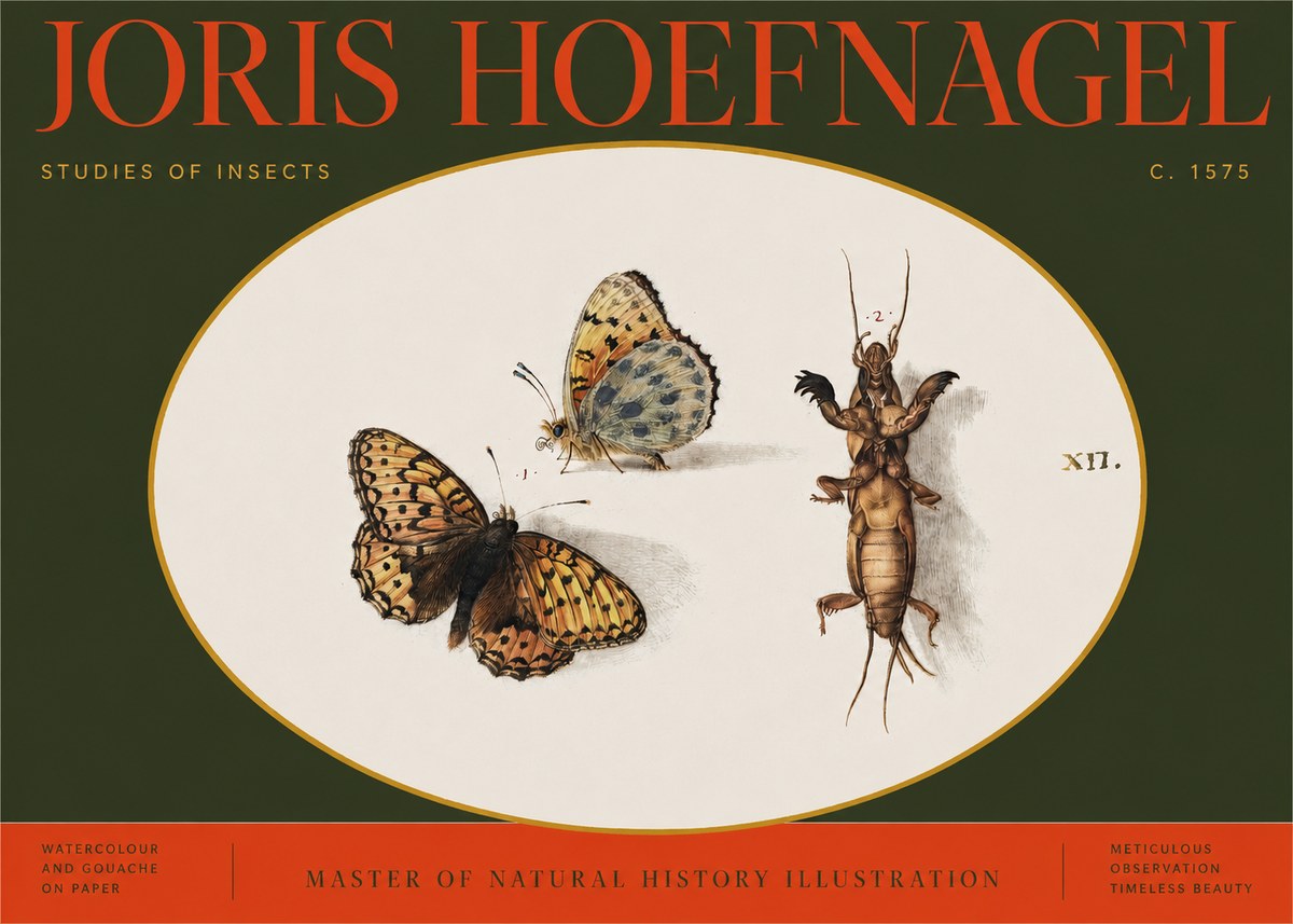 Joris Hoefnagel Studies of Insects Xii No2 - Juliste