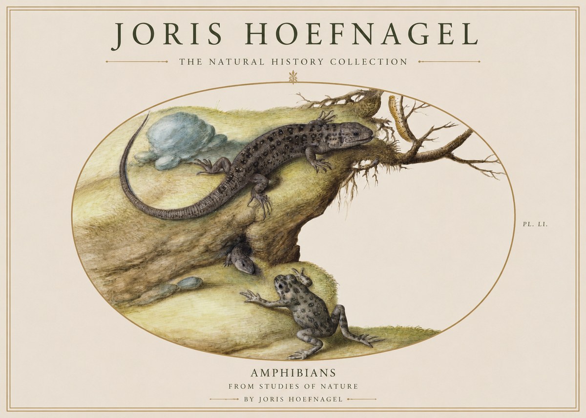 Joris Hoefnagel Amphibians from Studies of Nature No1 - Juliste
