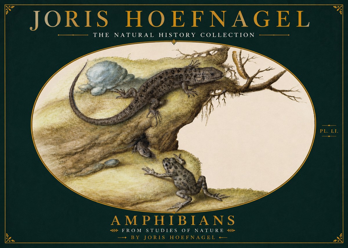 Joris Hoefnagel Amphibians from Studies of Nature No4 - Juliste