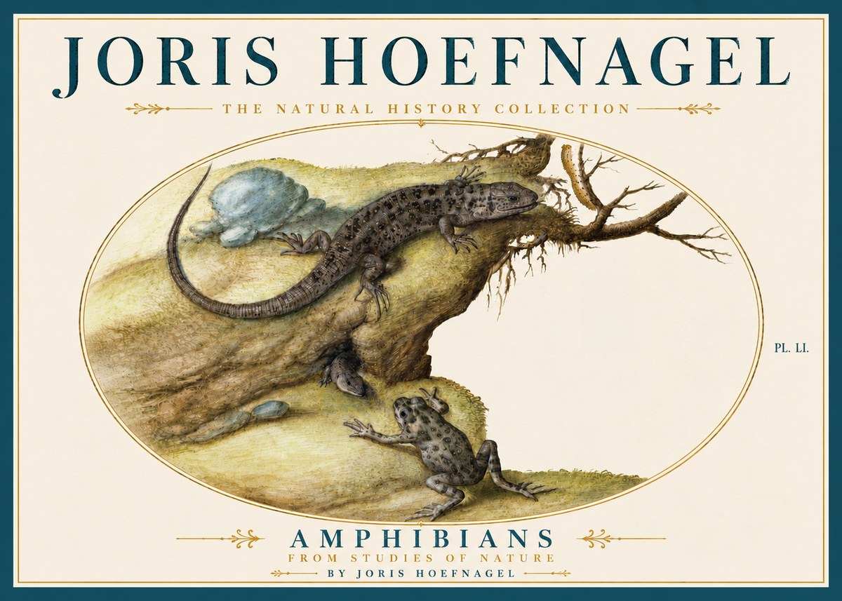Joris Hoefnagel Amphibians from Studies of Nature No5 - Juliste