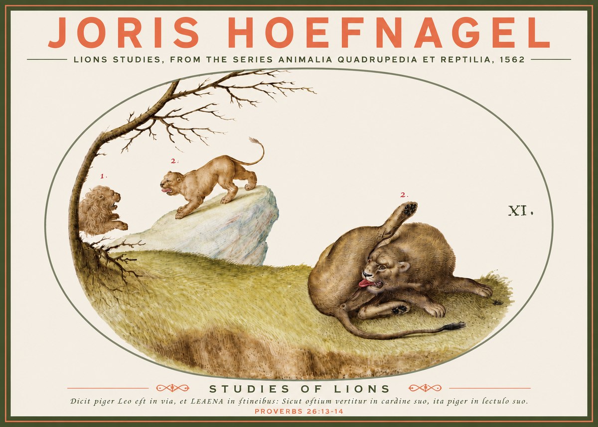 Joris Hoefnagel Lions Studies No3 - Juliste
