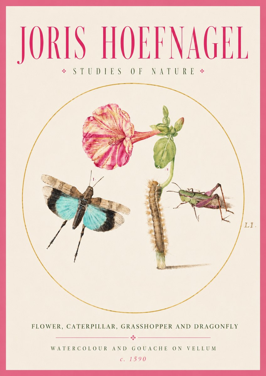Joris Hoefnagel Plate L1. Studies of Insects and Plants No3 - Juliste