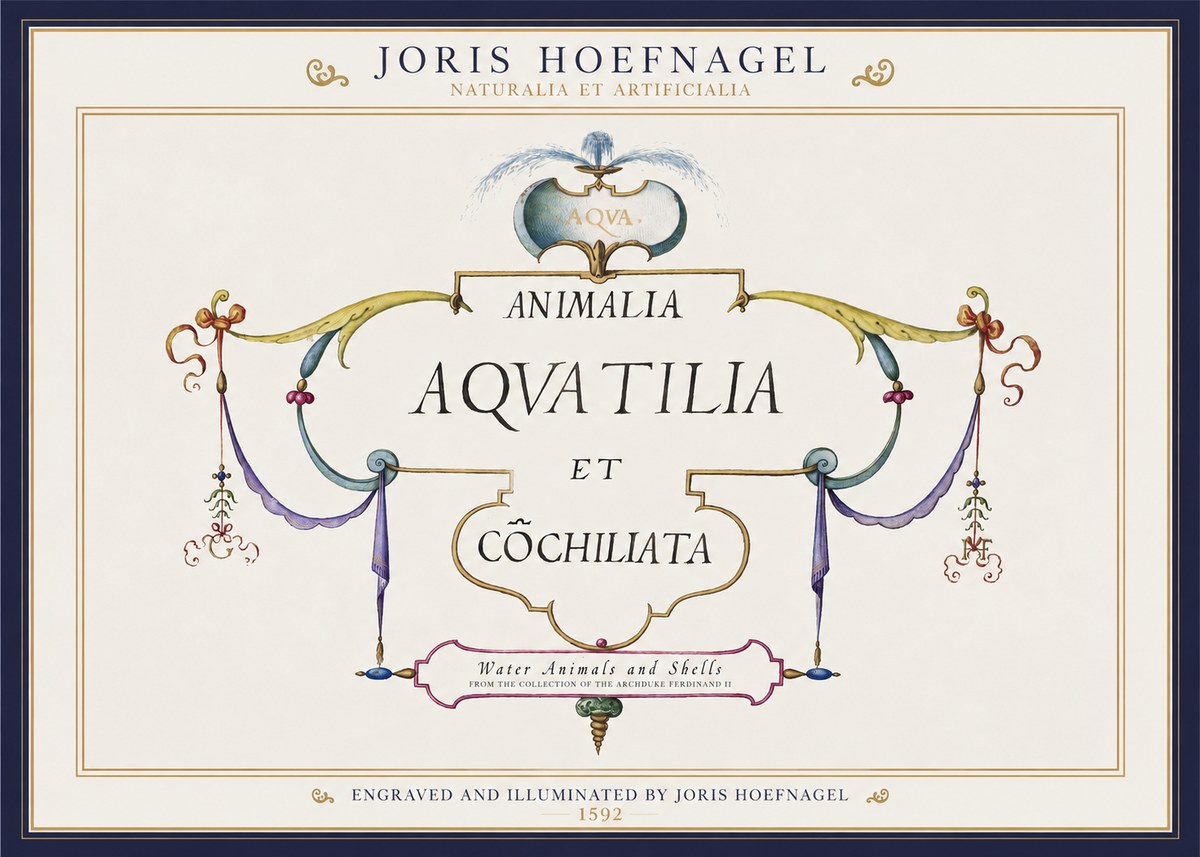 Joris Hoefnagel Animalia Aquatilia Et Cochiliata No1 - Juliste