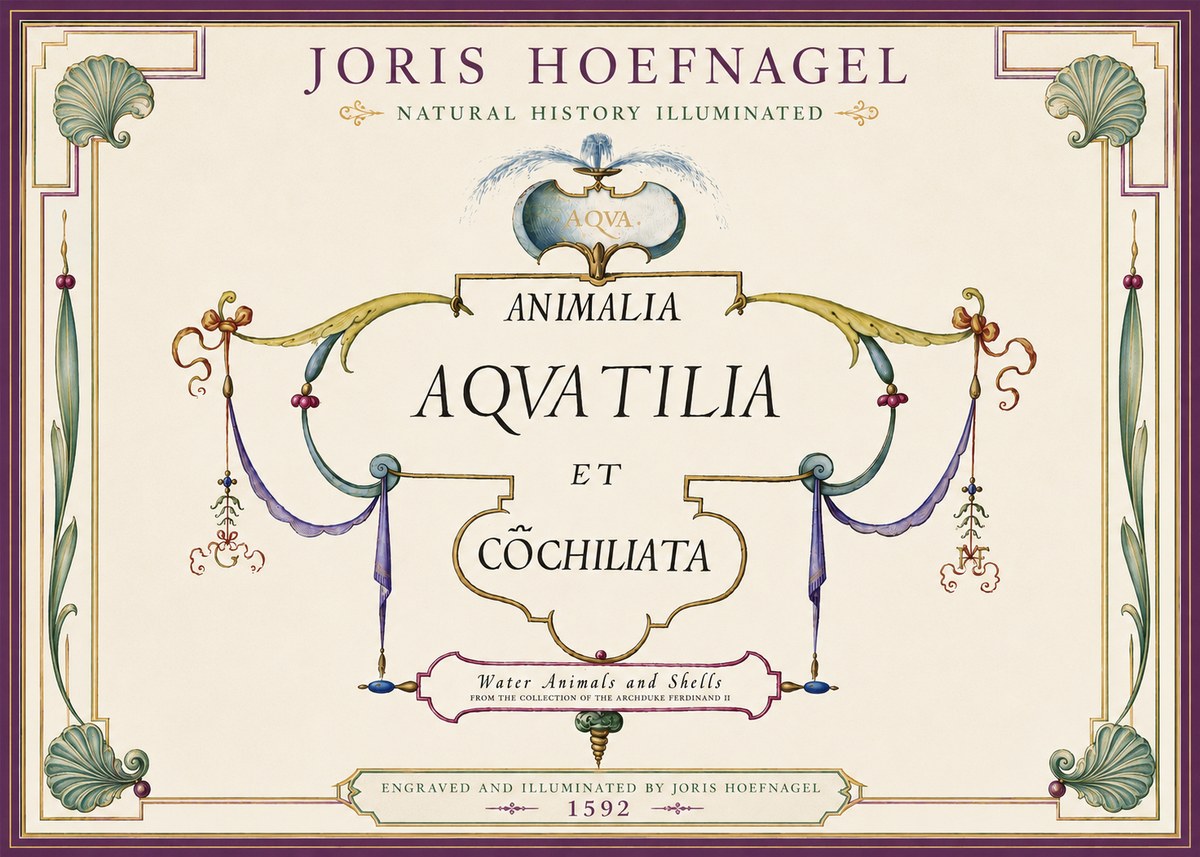 Joris Hoefnagel Animalia Aquatilia Et Cochiliata No4 - Juliste