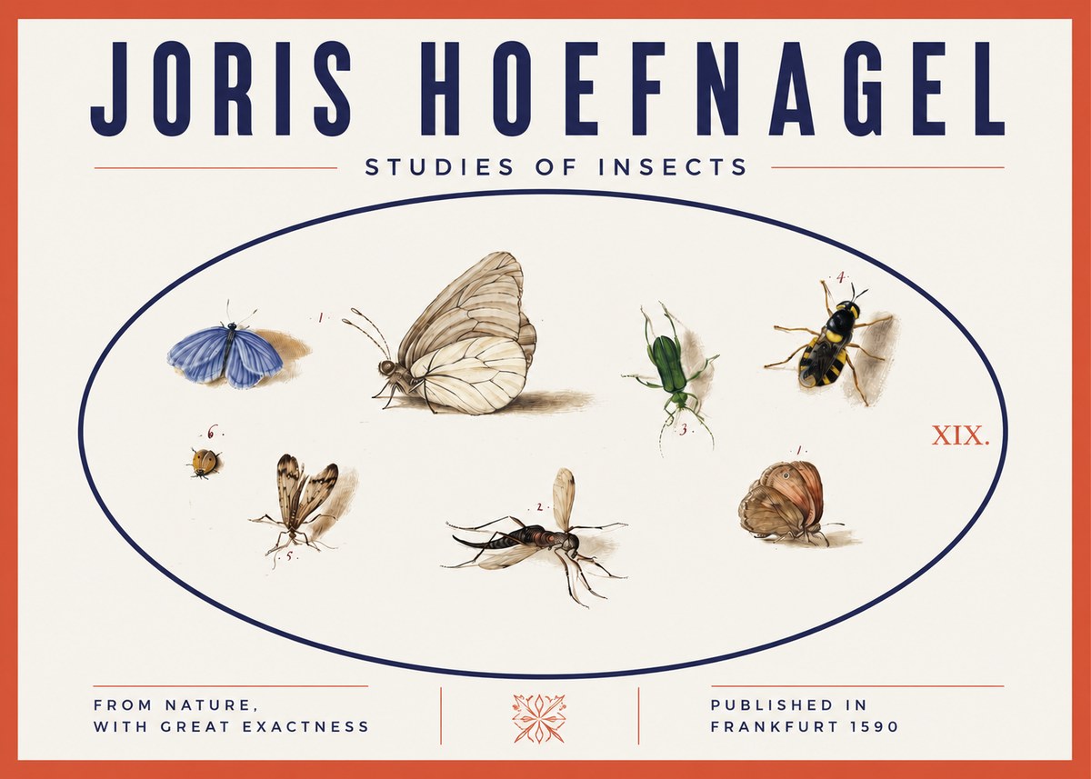 Joris Hoefnagel Studies of Insects V No3 - Juliste