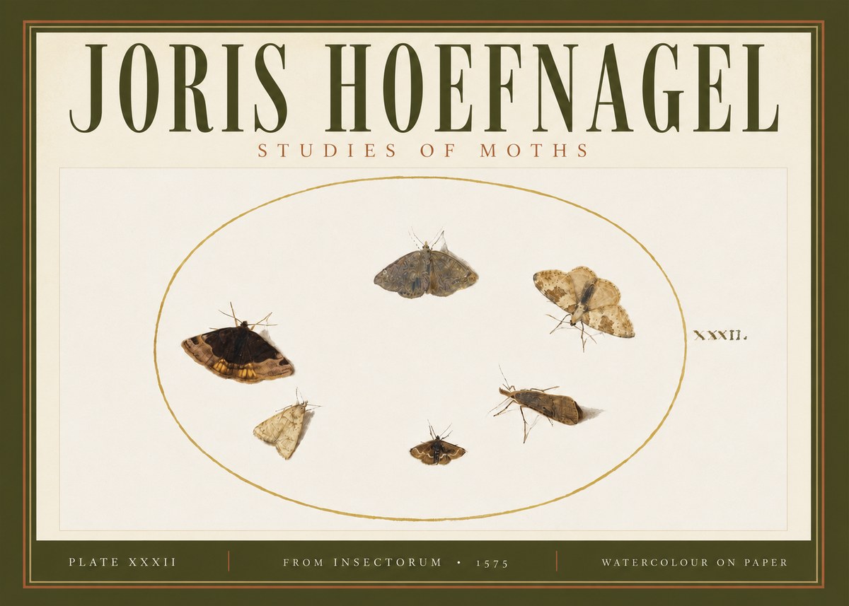 Joris Hoefnagel Studies of Moths III No4 - Juliste