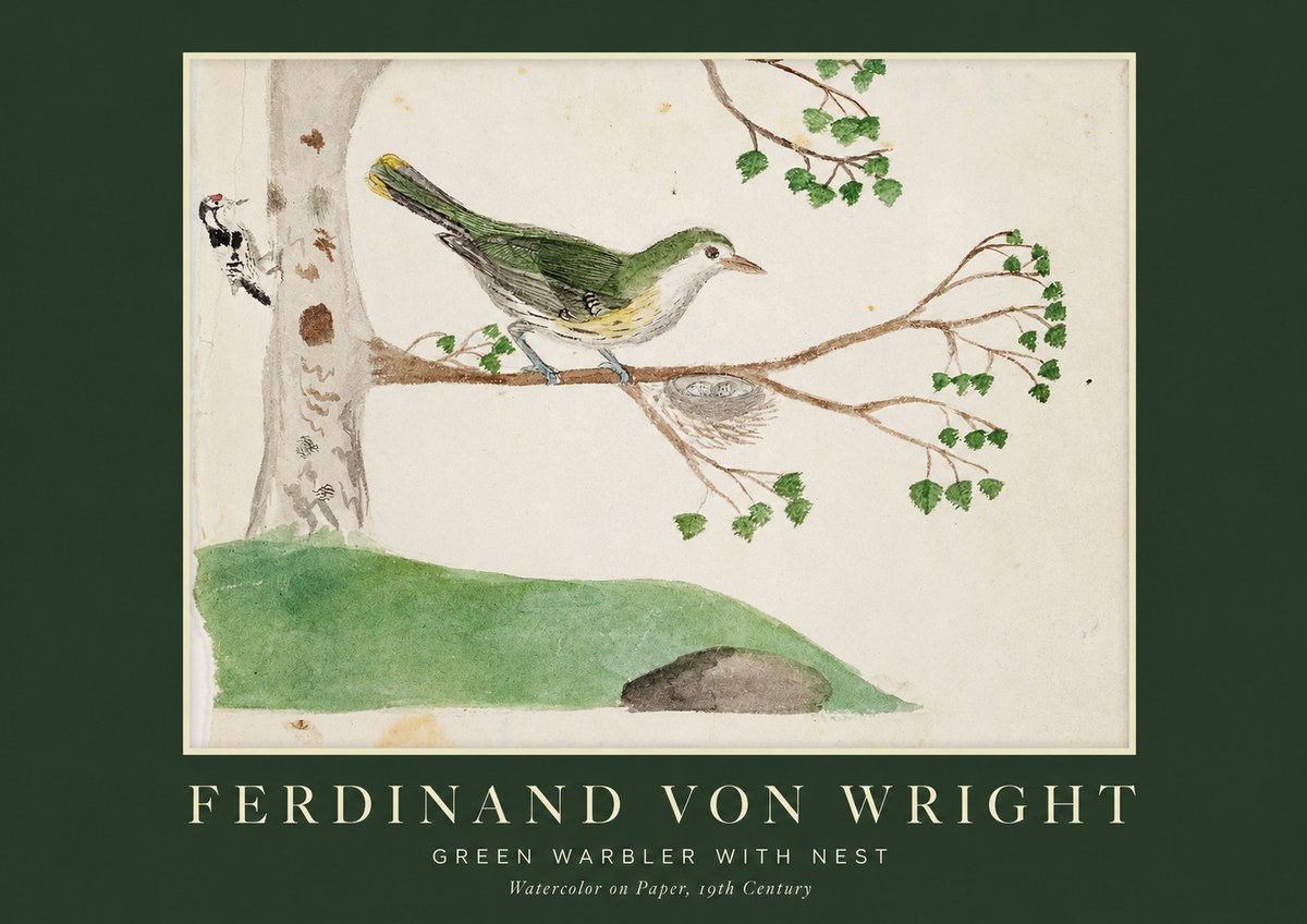 Ferdinand von Wright Green Warbler with Nest No1 - Juliste