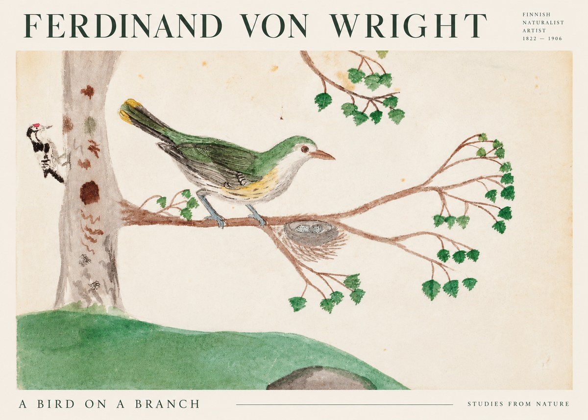 Ferdinand von Wright Green Warbler with Nest No3 - Juliste