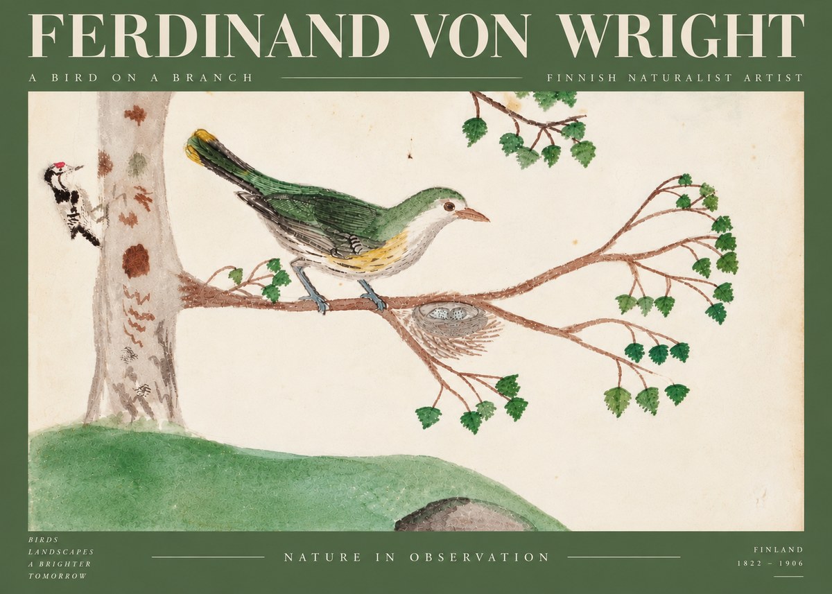 Ferdinand von Wright Green Warbler with Nest No6 - Juliste