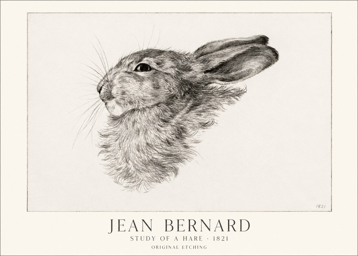 Jean Bernard Study of a Hare No1 - Juliste