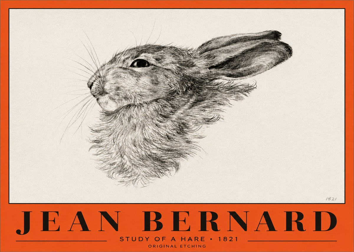 Jean Bernard Study of a Hare No2 - Juliste
