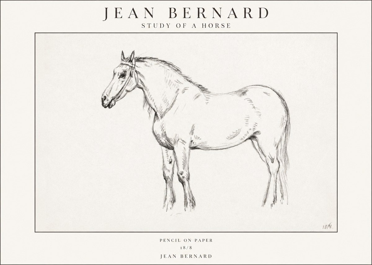 Jean Bernard Study of a Horse XVII No1 - Juliste