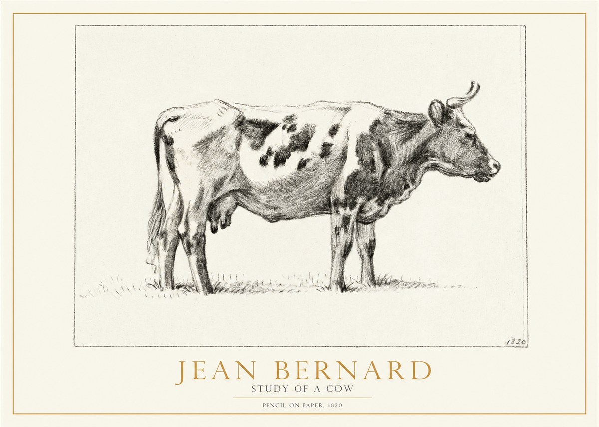 Jean Bernard Study of a Cow XX No2 - Juliste