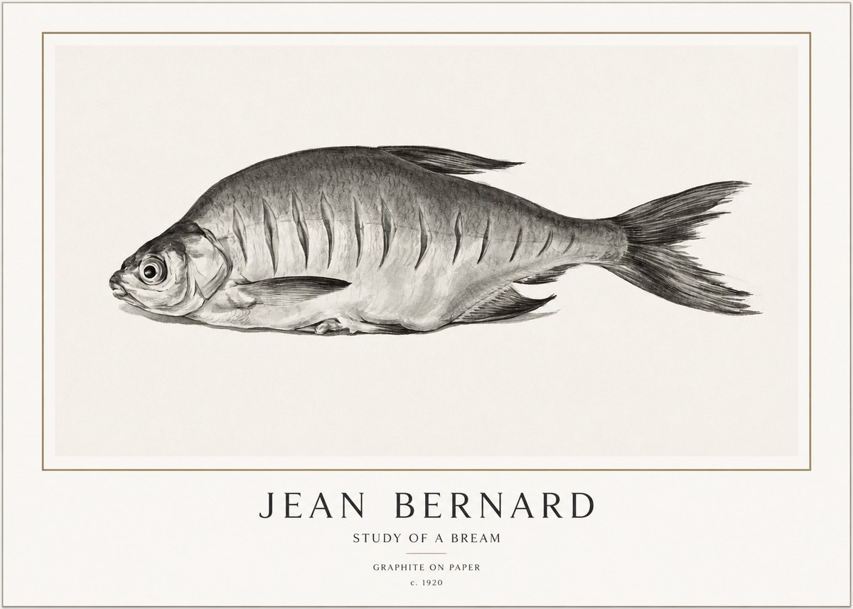 Jean Bernard Study of a Bream No1 - Juliste