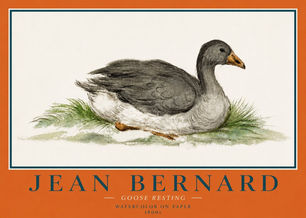 Jean Bernard Goose Resting No4 - Juliste