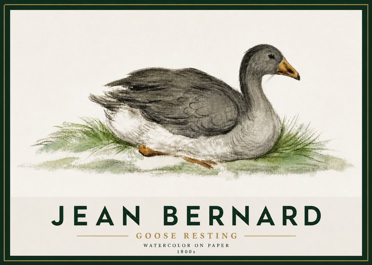 Jean Bernard Goose Resting No5 - Juliste