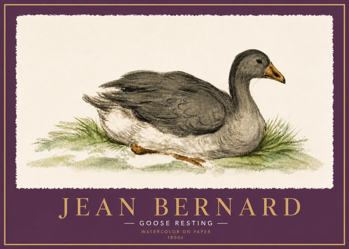 Jean Bernard Goose Resting No6 - Juliste