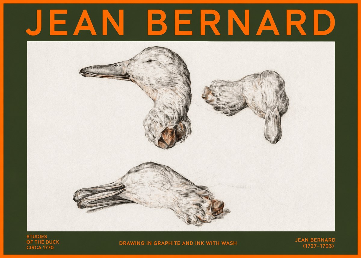 Jean Bernard Studies of the Duck No2 - Juliste