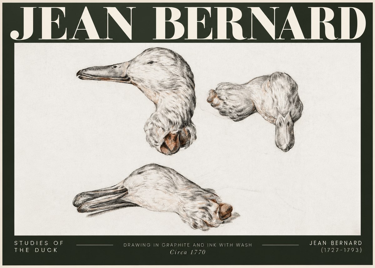 Jean Bernard Studies of the Duck No5 - Juliste