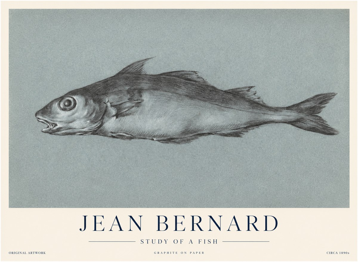 Jean Bernard Fish Study I No4 - Juliste