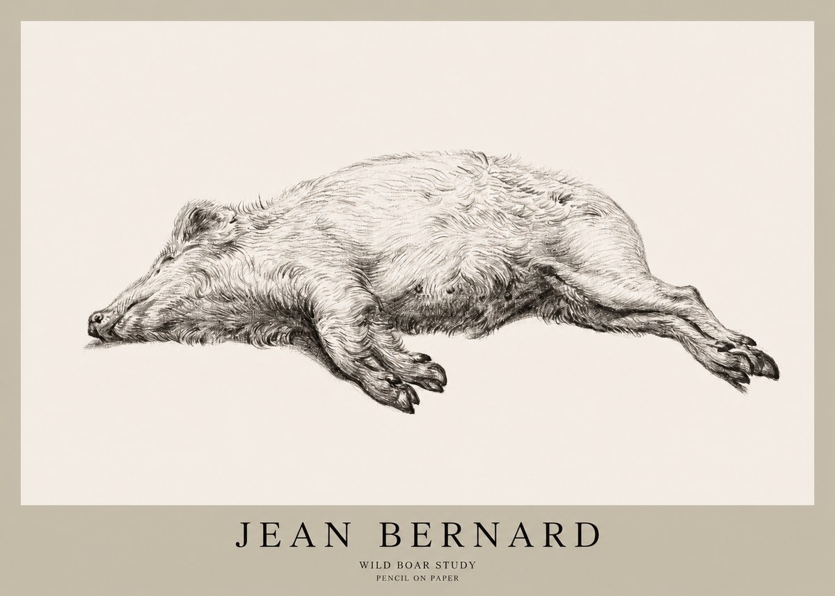 Jean Bernard Wild Boar Study No1 - Juliste