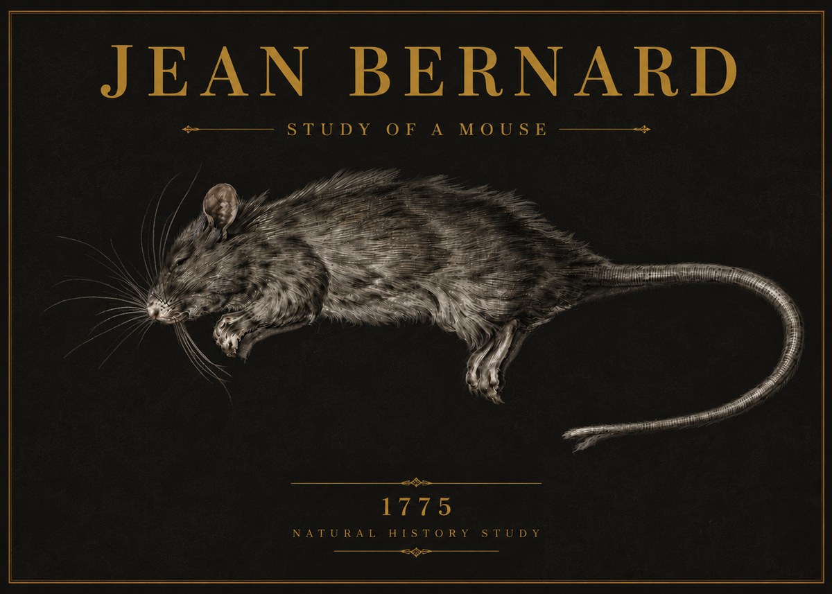 Jean Bernard Study of a Mouse II No6 - Juliste