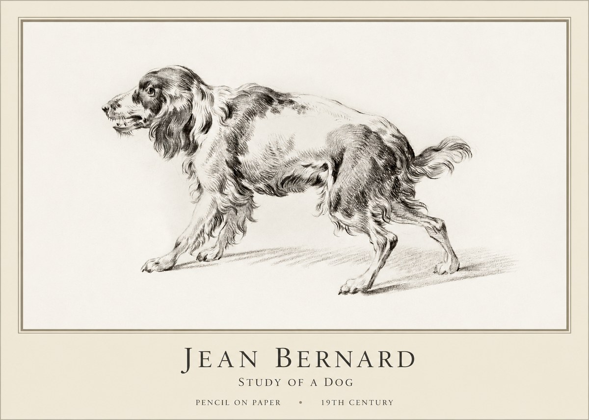 Jean Bernard Study of a Dog V No1 - Juliste