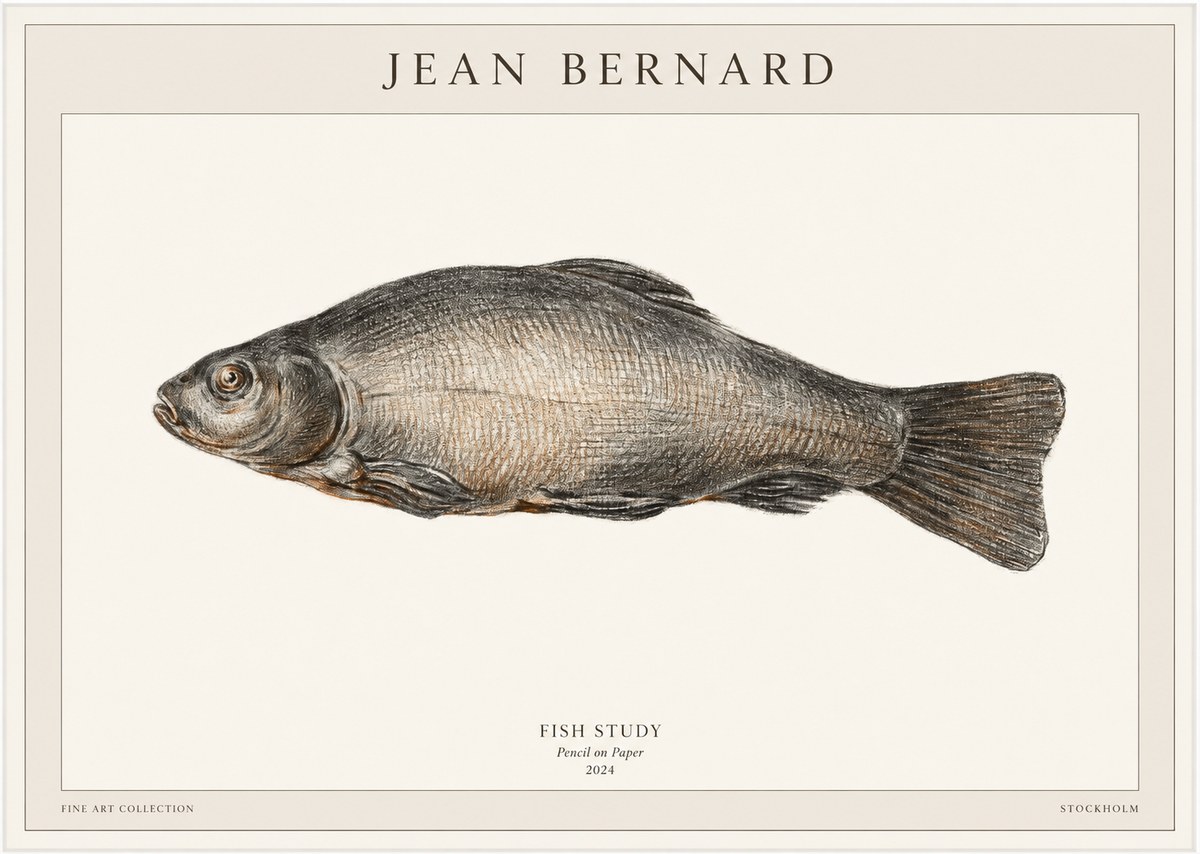 Jean Bernard Fish Study IV No1 - Juliste