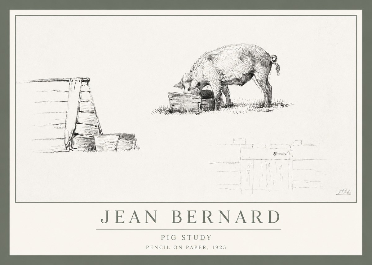 Jean Bernard Pig Study No1 - Juliste