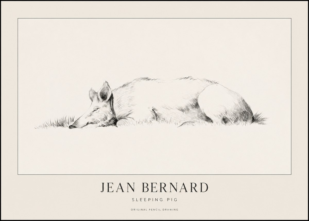 Jean Bernard Sleeping Pig II No1 - Juliste