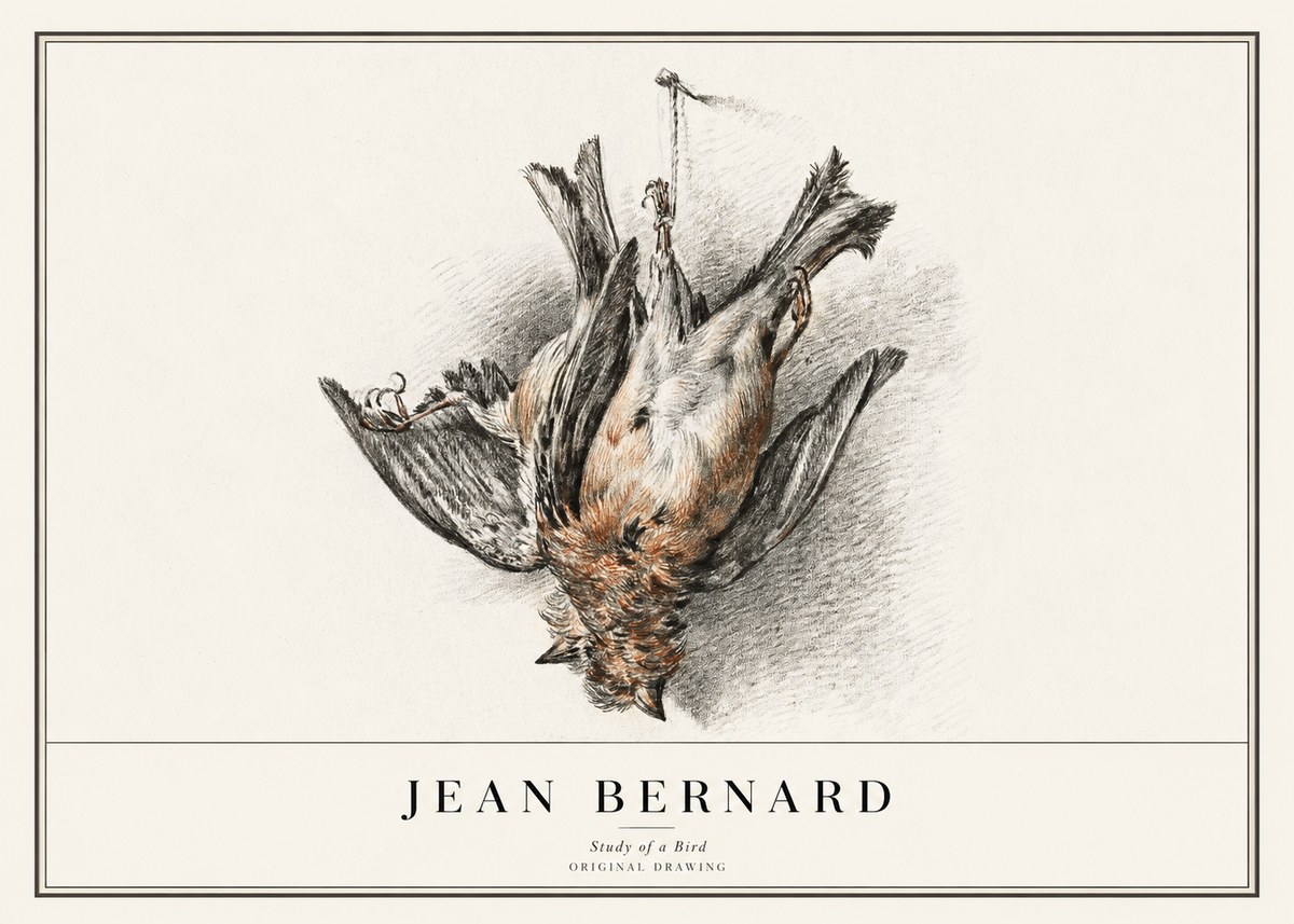 Jean Bernard Study of a Bird IV No1 - Juliste
